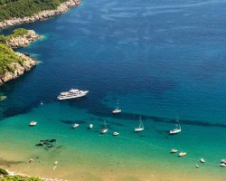 Booking Direct vs Viator: 20% Saving Math