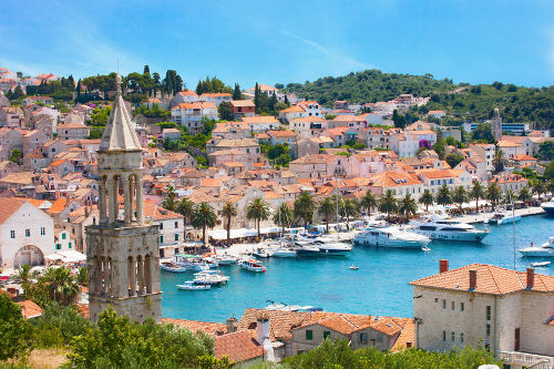 Hvar island lavender