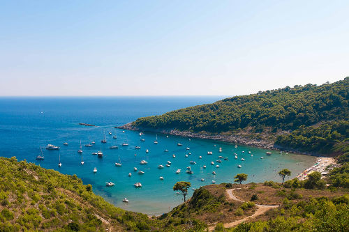 Lokrum Island near Dubrovnik